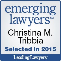 Emerging Lawyers Badge 2015